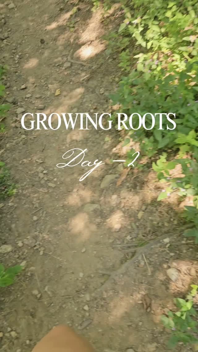 Growing Roots Romania Yoga retreat : Day -2
Today it was about alignment with beautiful places and the Awareness itself of looking back just to see how far we came✨️

Book your Yoga experience here:
www.nicoleta-bot.de 

#yoga
#yogaretreat 
#mindfulness 
#luxuryretreat