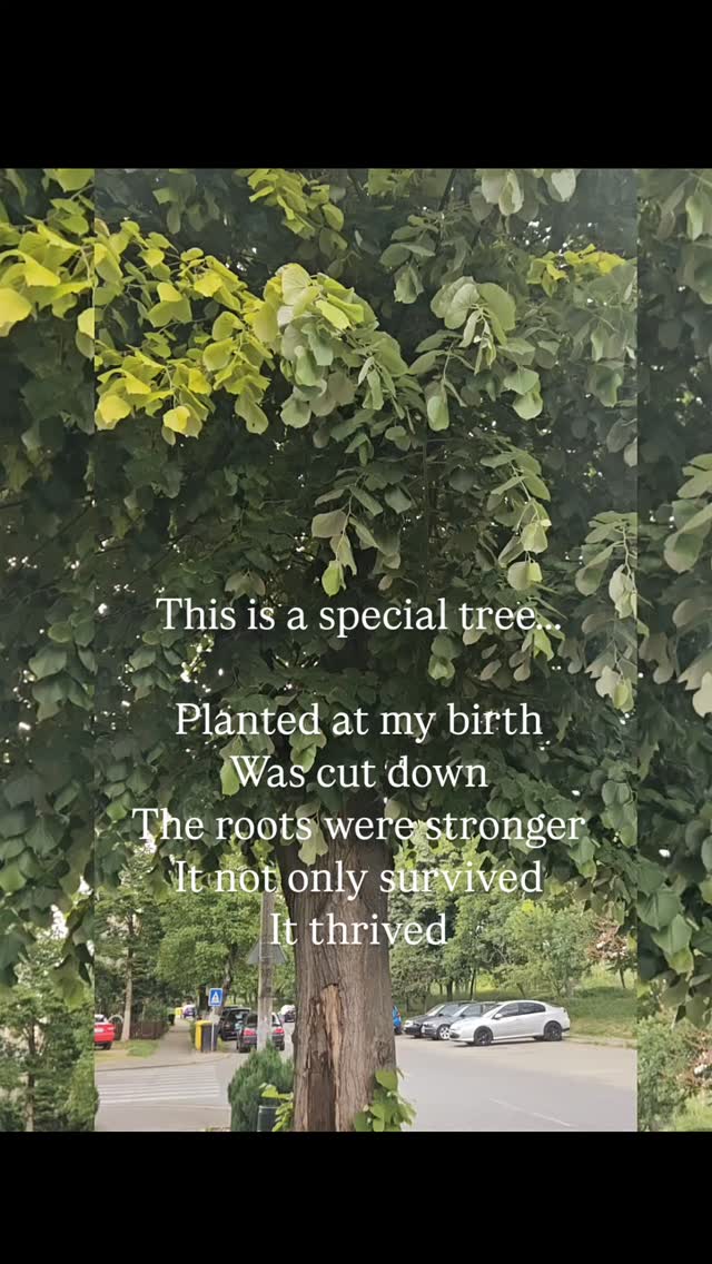 This is your invitation to deepdive into your #rootchakra 

20-26.7, Valiug, Romania 

#yogaretreat, #rootchakra, #Growingroots, #treestagram