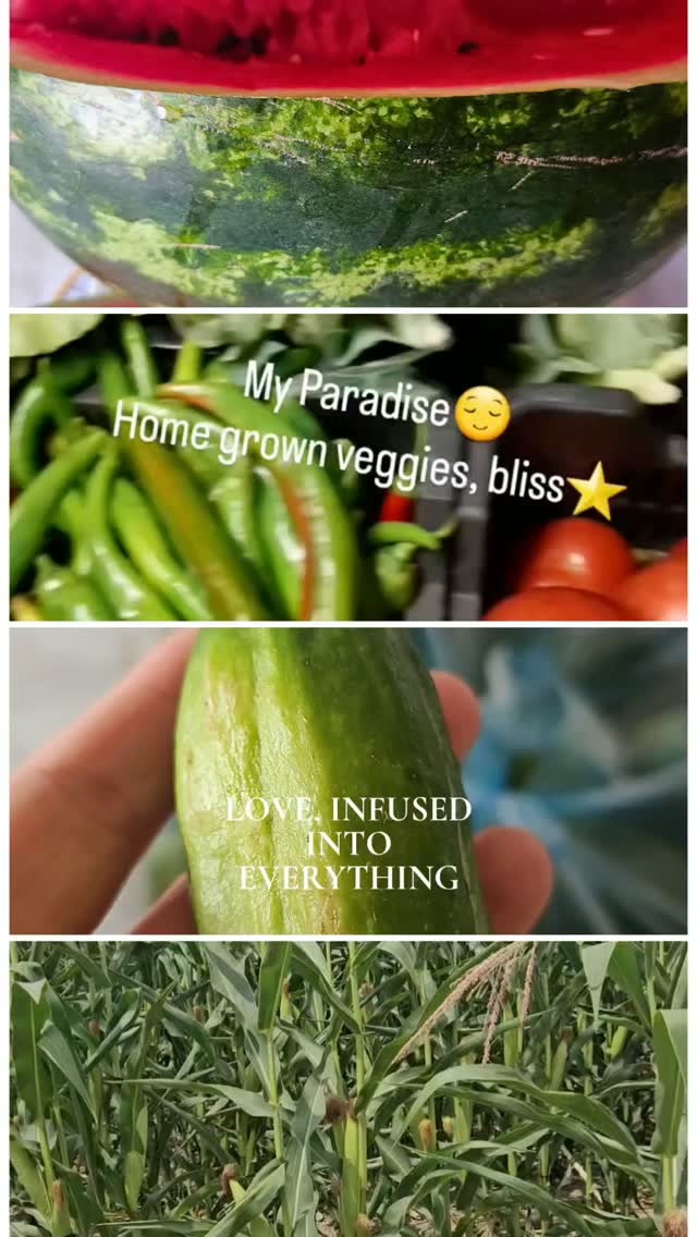 Day -3: Growing Roots Romania Yoga retreat. 
Today was about alignment of the food❤️

Love infused also into the food we eat at each retreat.

www.nicoleta-bot.de 

#yogaretreats
#yogafamily 
#healthyfood 
#luxuryretreat