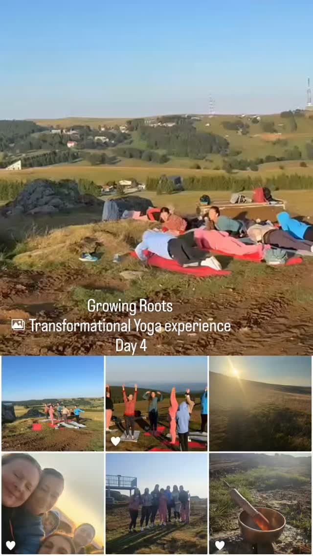 In our element...earth... Day 4: Growing Roots ❤️

Saluting the Sun, grounding, cultivating safety: in our bodies, mind, emotions 🙏

Do you feel the calling to join us?

www.nicoleta-bot.de 

#rootchakra 
#sunsalutation 
#yoga
#yogaretreat